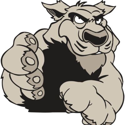 AR5 COUGAR 21 RQC Thumbnail