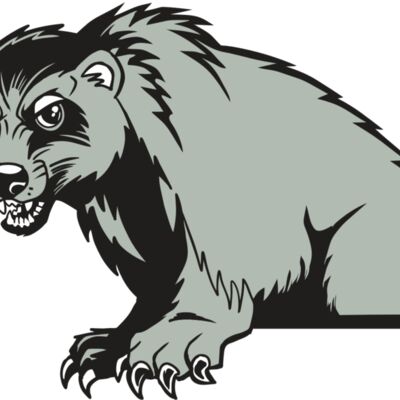 AR22 WOLVERINE 01 RQC Thumbnail